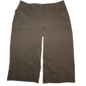 LOFT Ann Taylor Women’s Knicker Capris Brown Size 2